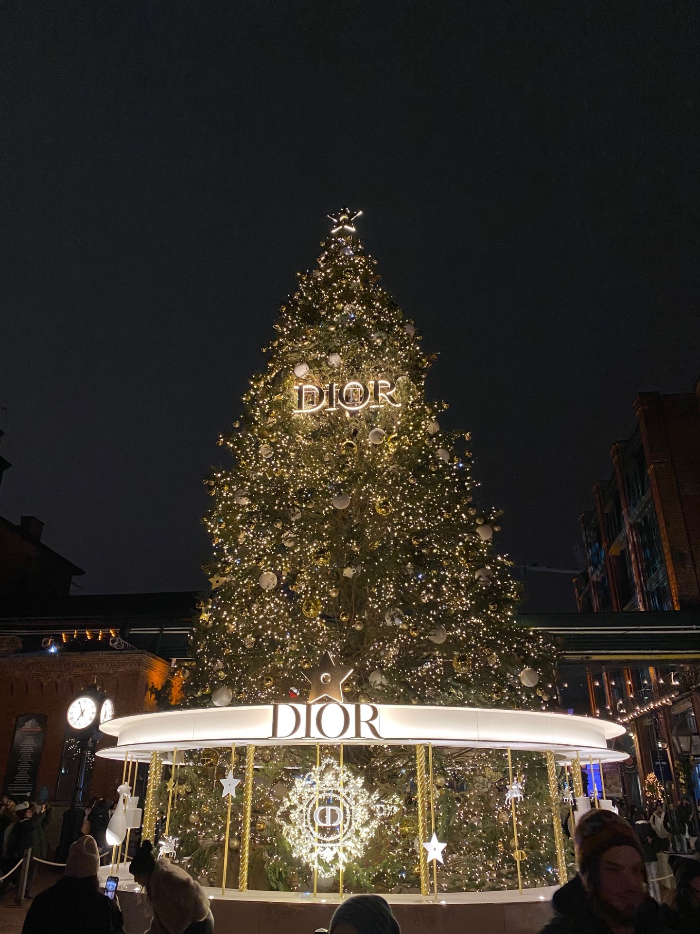 Holiday Special: Toronto Winter Activities