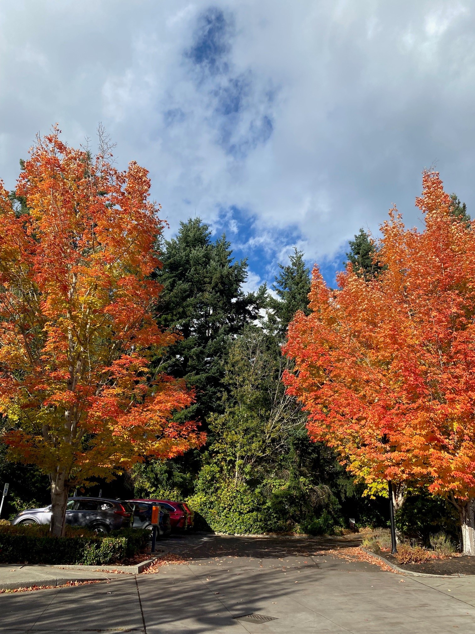 Highlights from My Fall US Travels